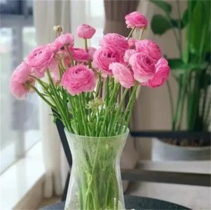 ​醒花一般要多长时间