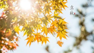 ​2022年天坑在哪个方位?如何查找天坑方位