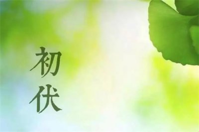 ​初伏是什么时候