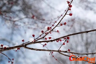 ​8首描绘雪景的诗词 与雪有关的诗句