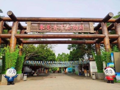 ​东莞香市动物园