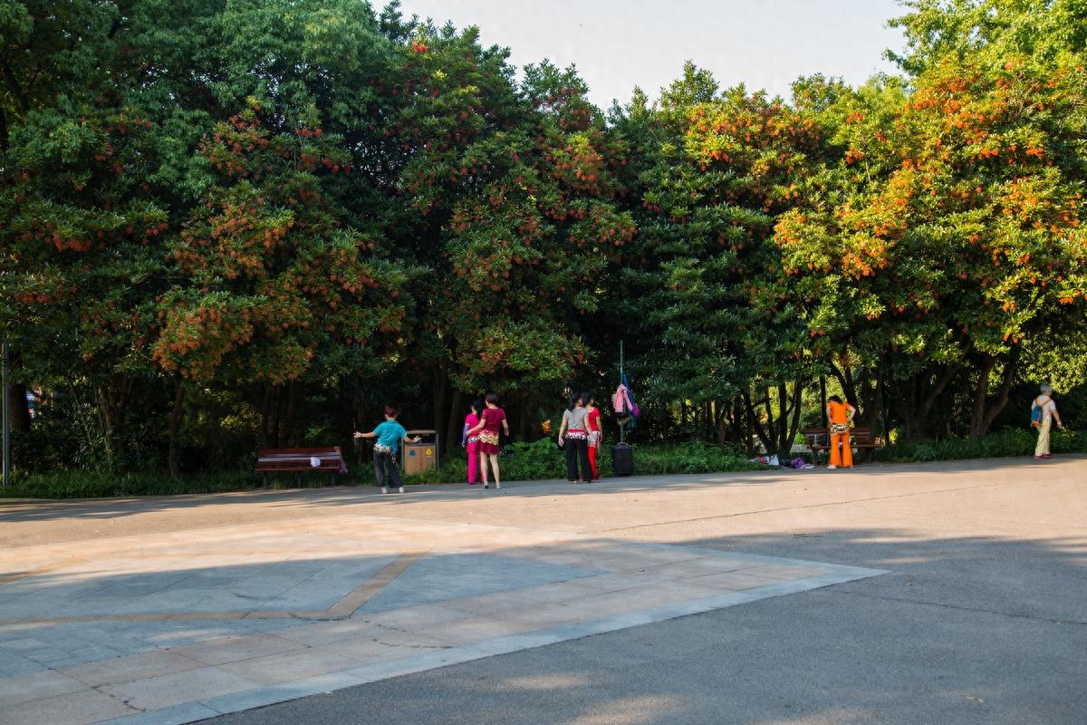 长沙烈士公园,环境好还免费,恋爱圣地:)全国十大城市公园之一