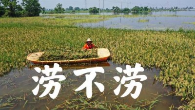 ​今天八月初二，俗语“涝不涝，就看八月初二”，秋收雨水多吗？