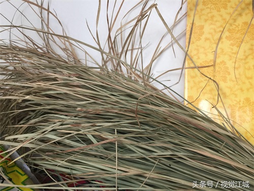 东北三宝,人身貂皮乌拉草,你见过乌拉草吗?