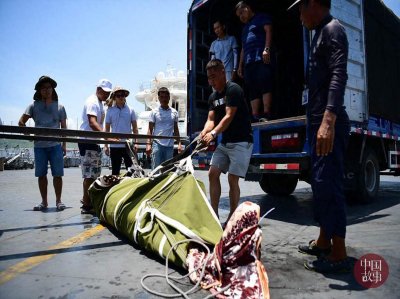 ​三亚领航鲸死亡 志愿者曾24小时水下看护