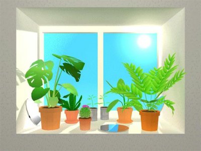 ​30种黄色花盘点，把最明亮的花送给你，看看你见过几种？