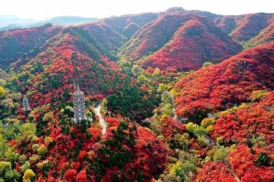​红叶谷第23届红叶节将于10月1日盛大启幕
