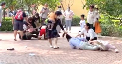 北京野生动物园两拨游客打架，动物纷纷效仿？媒体：绵里藏针的讽刺