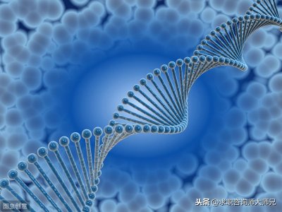 生物工程专业就业方向大揭秘！3年后薪酬居然这么高？