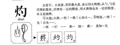 ​灼的拼音（灼字的拼音介绍）