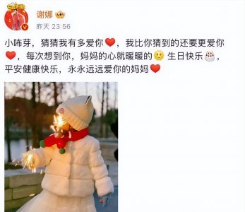 ​张杰谢娜女儿小名遭抢注！商标大战引爆法律争议