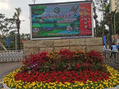 ​说说含“顺”“字的成语大世界