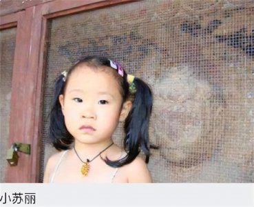 ​青海3岁女孩：被亲生母亲拿针线缝嘴, 热油灌口虐死, 7年后又遭刨坟
