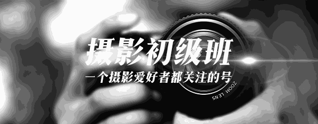 摄影入门怎么学（新手学摄影需要知道11个摄影技巧）(1)