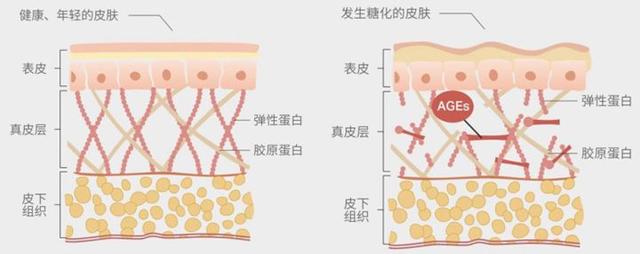 脸部暗沉暗黄调理小技巧（5个面部暗黄的原因）(5)
