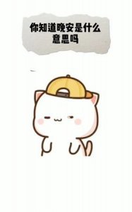 ​晚安的特殊含义，晚安的含义是什么意思？