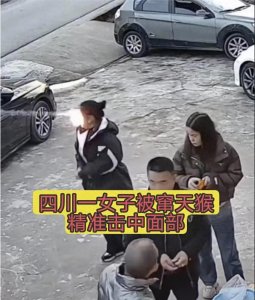 ​＂惊险一刻！四川女子如何意外遭遇‘窜天猴’的突袭