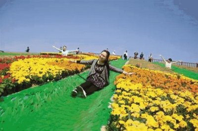 ​今天，合肥滨湖岸上草原，全被拆完了！