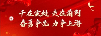​资彩“政”飞扬 | 法治手抄报——和同学们一起看政法⑥