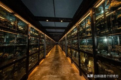 ​乌鲁木齐本地人都很少知道的秘密花园，太“野”了！