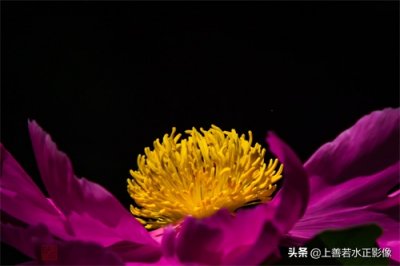 ​长安十三朝之唐都长安