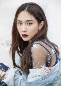 ​王霏霏（中国内地女歌手、演员、主持人）