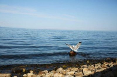 ​浓醇丝滑德芙巧克力脆香米22元大碗仅商超半价