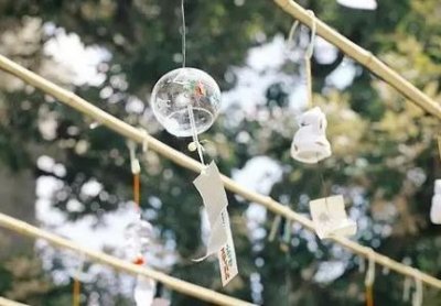 ​趣知识：蛋糕模具用什么能代替放空气炸锅蛋糕模具用什么能代替烤箱