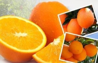 ​怎么样炸鱼块酥脆好吃如何炸鱼才能酥脆