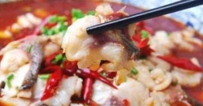 ​豆腐鱼头汤如何做如何做鱼头豆腐汤