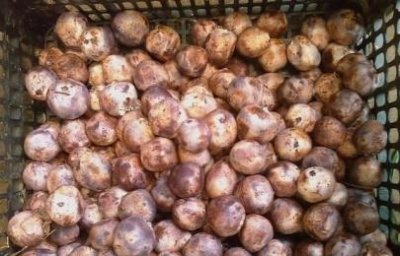 ​豆角卤面条的家常做法打卤面豆角卤的做法