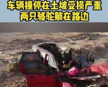 ​于月仙图片，于月仙个人简历(于月仙 个人资料)