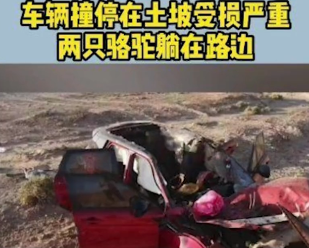 于月仙图片，于月仙个人简历(于月仙 个人资料)