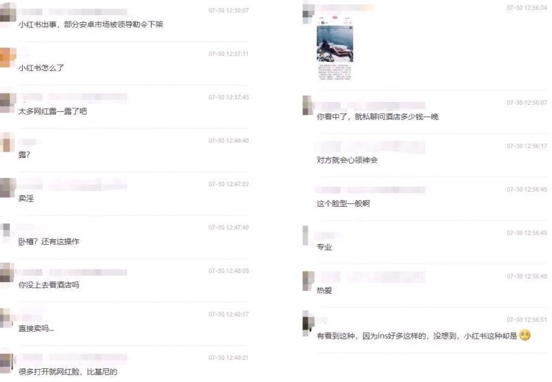 蚂蚁上树是什么服务（小红书在毁掉女大学生吗）
