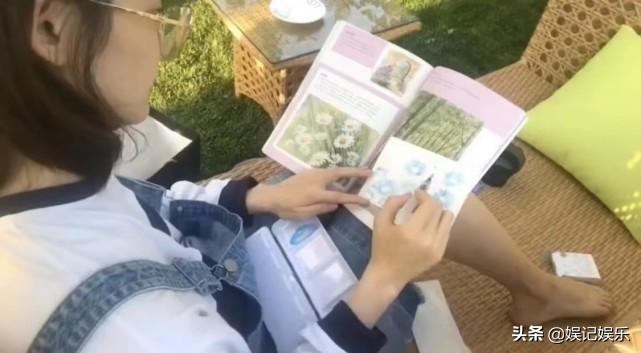 苗苗图片个人资料哪里人(苗苗穿孕妇裤如愿怀上二胎?让郑恺收心的她不简单)