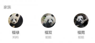 ​大熊猫“福茹”凌晨去世，还未满2周岁！死因公布_ZAKER新闻