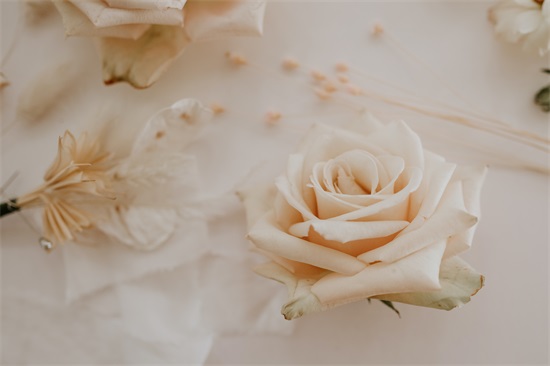 老婆出轨老公过不了心里的坎怎么办（老婆出轨老公心里过不去咋办没有没啥方案）