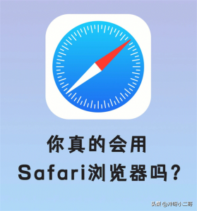 ​苹果浏览器历史记录怎么查看（苹果浏览器历史记录删除了怎么恢复）