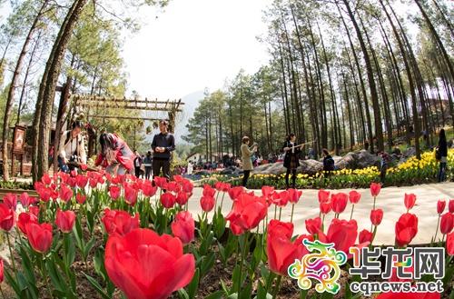 花谷景区旅游攻略（涪陵大木花谷景区演绎）(6)