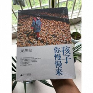 ​龙应台人生三书之一《孩子你慢慢来》，一本充满爱的书
