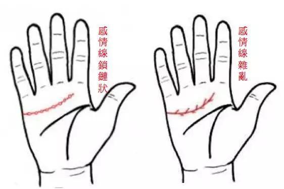 手掌中间那条线是什么线(手掌中间有一条竖线代表什么)