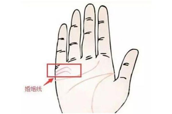 手掌中间那条线是什么线(手掌中间有一条竖线代表什么)