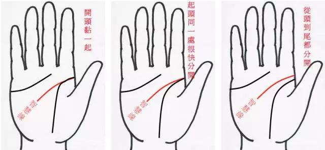 手掌中间那条线是什么线(手掌中间有一条竖线代表什么)