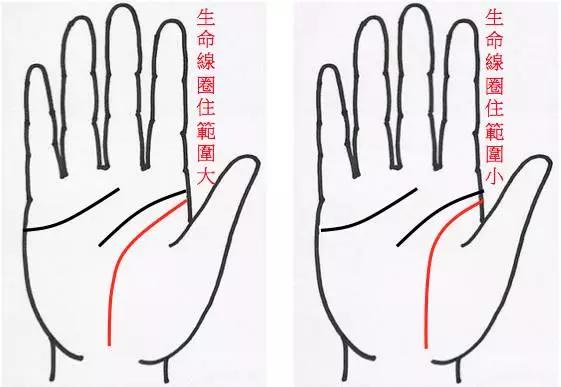 手掌中间那条线是什么线(手掌中间有一条竖线代表什么)