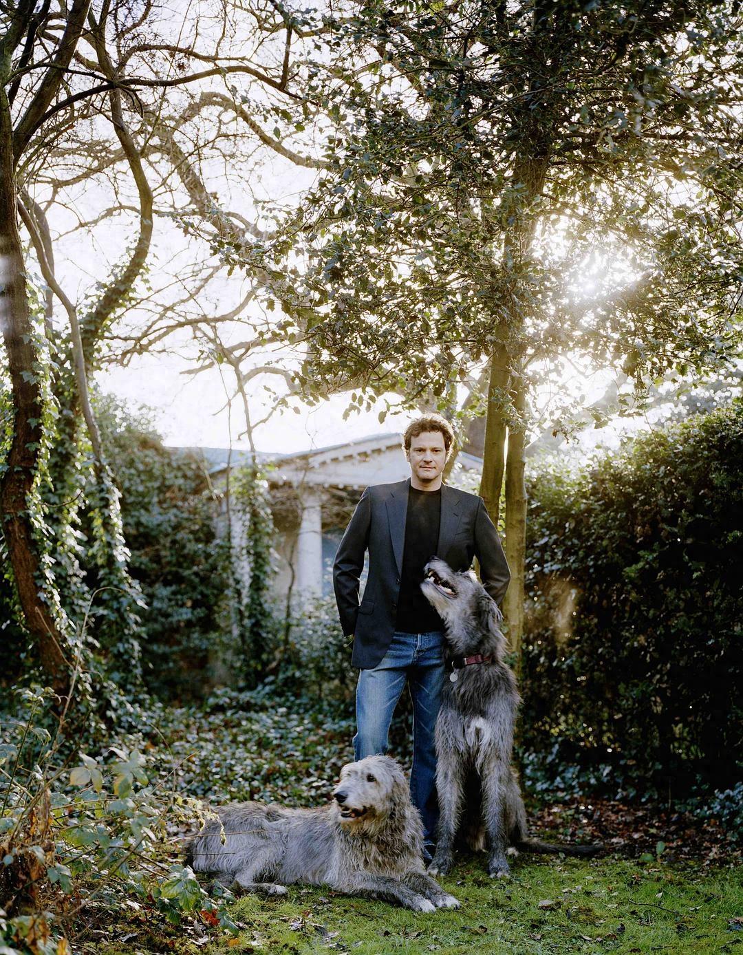 英伦绅士科林·费尔斯