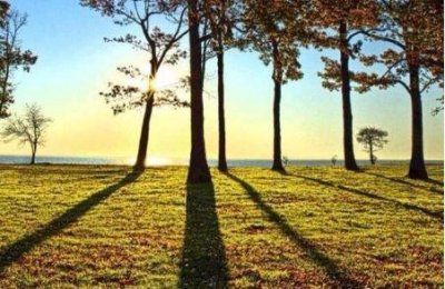 英语语法之句子成分系列-主语(二)不定式做主语