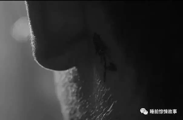 白夜追凶结局大揭秘（关于白夜追凶结局解析以及几个重大疑点）(13)