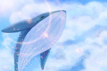 我对你的喜欢如鲸向海全文