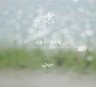 ​花非花白居易古诗意思（全诗表达了白居易什么情感思想）