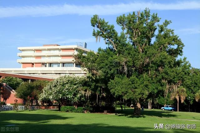 文科十大冷门专业（文科9大尴尬专业）(2)